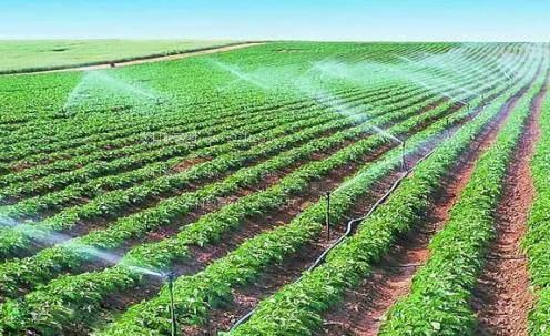 舔BB视频农田高 效节水灌溉
